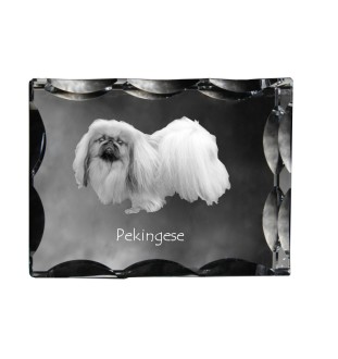 Pékinois - cristal avec photo de chien, statuette en verre avec photo, cadre exceptionnel avec photo de la marque Art-Dog
