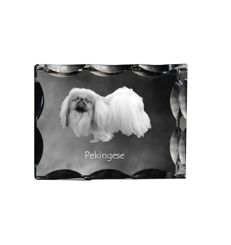 Pékinois - cristal avec photo de chien, statuette en verre avec photo, cadre exceptionnel avec photo de la marque Art-Dog