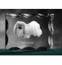 Pékinois - cristal avec photo de chien, statuette en verre avec photo, cadre exceptionnel avec photo de la marque Art-Dog