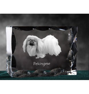 Pékinois - cristal avec photo de chien, statuette en verre avec photo, cadre exceptionnel avec photo de la marque Art-Dog