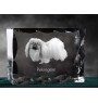 Pékinois - cristal avec photo de chien, statuette en verre avec photo, cadre exceptionnel avec photo de la marque Art-Dog