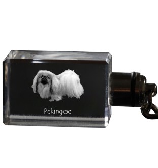 Pékinois - Porte-clés en cristal avec photo de chien, porte-clés lumineux, cadeau unique de la marque Art-Dog