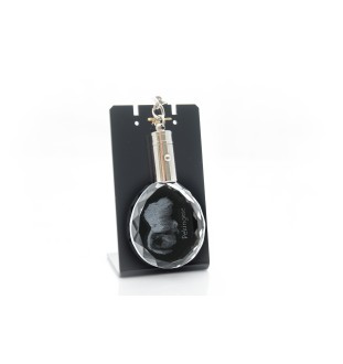 Pekingese, Pekinese, Peke - pendant with a photo of a dog, crystal key ring in a gift box, a unique gift by Art-Dog