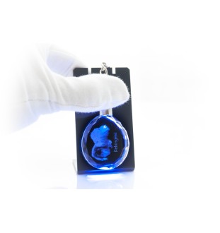 Pékinois - pendentif avec une photo de chien, porte-clés en cristal dans une boîte cadeau, un cadeau unique par Art-Dog