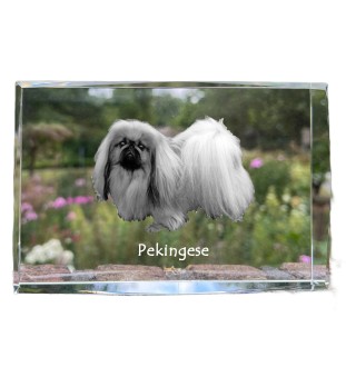 Pekingese, Pekinese, Peking-Palasthund - Kristall mit einem Hundebild, Bild im Glas, moderne Ausstellung des Art-Dog-Bildes.