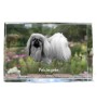 Pékinois - cristal avec une photo de chien, photo sous verre, exposition moderne de la marque de photos Art-Dog