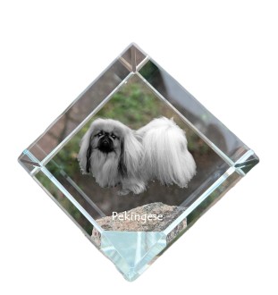 Pekingese, Pekinese, Peking-Palasthund - Kristallwürfel mit Bild, Pferdebild im Kristall, sechseckiger Papierclip der Marke Art-Dog