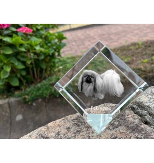 Pékinois - un cube de cristal avec une photo, une photo de cheval dans le cristal, un presse-papiers cubique de la marque Art-Dog