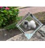 Pekingese, Pekinese, Peke - crystal cube with a photo, photo of a horse in crystal, cubic paperweight from Art-Dog brand