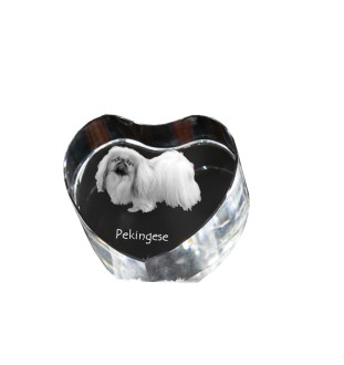 Pekingese, Pekinese, Peking-Palasthund - Hundebild im Kristall, Kristallherz, einzigartiger Bilderrahmen der Marke Art-Dog