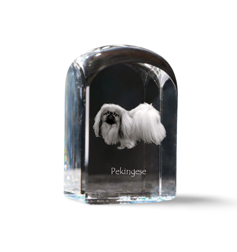 Pékinois - un cube de cristal avec une photo, une photo de chien dans le cristal, un presse-papiers cubique de la marque Art-Dog