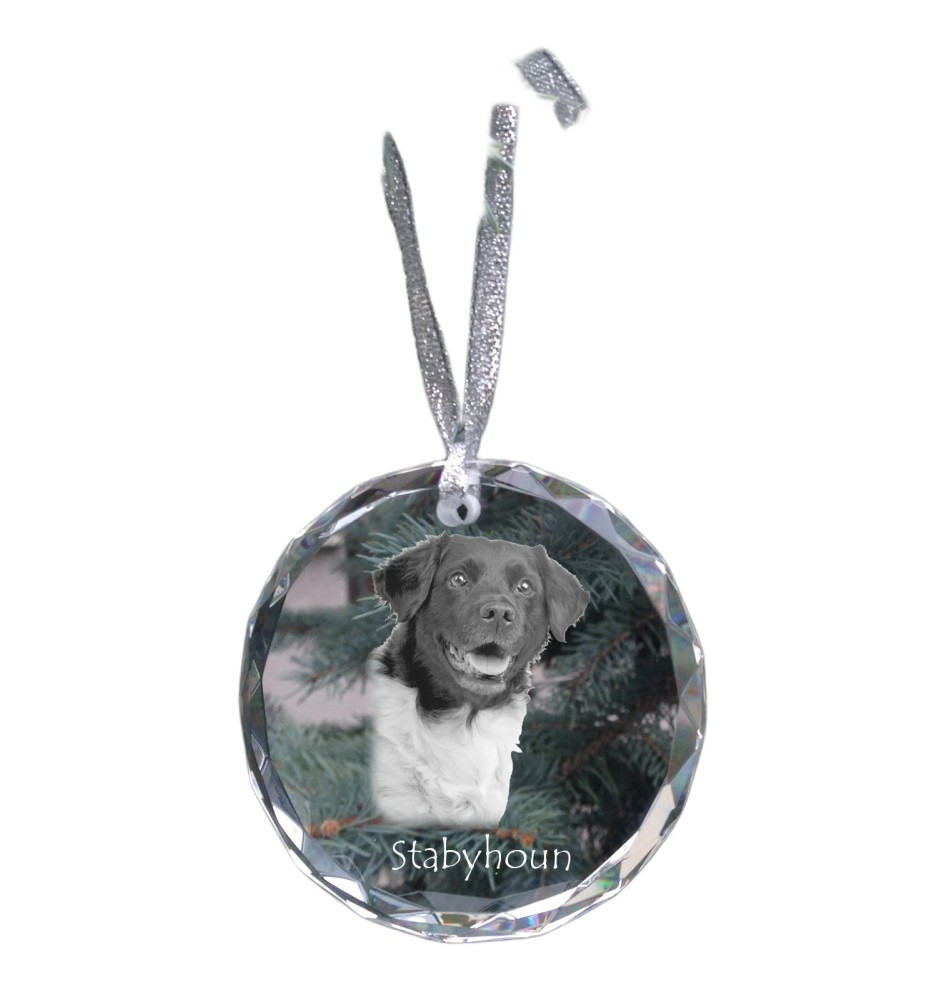 Stabyhoun,  Friesischer Vorstehhund, Stabijhoun - Kristallkugel mit Foto, Hundebild im Kristall, personalisierter Christbaumschmuck von Art-Dog.