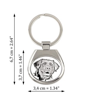 Stabyhoun,  Friesischer Vorstehhund, Stabijhoun - Schlüsselanhänger mit Hund, Anhänger mit Aufdruck, personalisierter Anhänger der Marke Art-Dog