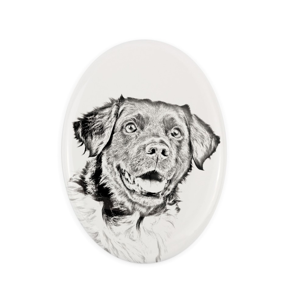 Stabyhoun, Stabijhoun, Fryske Stabij - commemorative plaque with a photo of a dog, tombstone with a print, personalized oval plaque from the Art-Dog brand