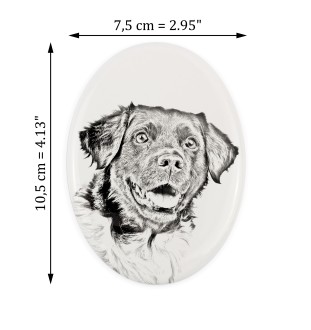 Stabyhoun,  Friesischer Vorstehhund, Stabijhoun - Gedenktafel mit einem Foto eines Hundes, Grabplatte mit Druck, personalisierte ovale Platte der Marke Art-Dog