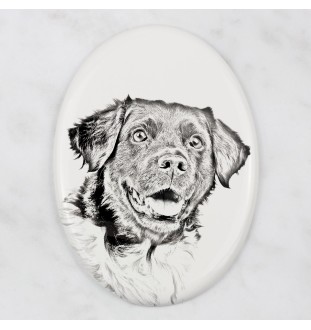 Stabyhoun,  Friesischer Vorstehhund, Stabijhoun - Gedenktafel mit einem Foto eines Hundes, Grabplatte mit Druck, personalisierte ovale Platte der Marke Art-Dog