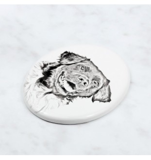 Stabyhoun, Stabijhoun, Fryske Stabij - commemorative plaque with a photo of a dog, tombstone with a print, personalized oval plaque from the Art-Dog brand