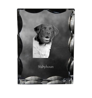 Stabyhoun, Stabijhoun, Fryske Stabij - crystal with a picture of a dog, glass statuette with a picture, unique frame with a picture from Art-Dog brand