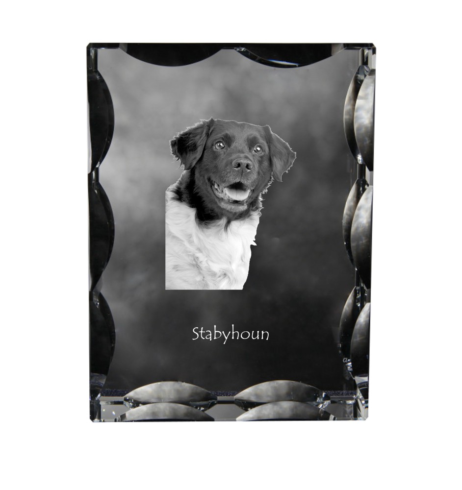 Stabyhoun,  Friesischer Vorstehhund, Stabijhoun - Kristall mit einem Hundebild, Glasstatuette mit einem Bild, einzigartiger Bilderrahmen der Marke Art-Dog