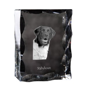 Stabyhoun,  Friesischer Vorstehhund, Stabijhoun - Kristall mit einem Hundebild, Glasstatuette mit einem Bild, einzigartiger Bilderrahmen der Marke Art-Dog