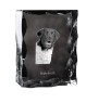 Stabyhoun, Stabijhoun, Fryske Stabij - crystal with a picture of a dog, glass statuette with a picture, unique frame with a picture from Art-Dog brand