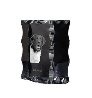 Stabyhoun, Stabijhoun, Fryske Stabij - crystal with a picture of a dog, glass statuette with a picture, unique frame with a picture from Art-Dog brand