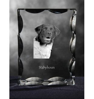Stabyhoun,  Friesischer Vorstehhund, Stabijhoun - Kristall mit einem Hundebild, Glasstatuette mit einem Bild, einzigartiger Bilderrahmen der Marke Art-Dog