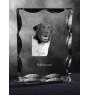 Stabyhoun, Stabijhoun, Fryske Stabij - crystal with a picture of a dog, glass statuette with a picture, unique frame with a picture from Art-Dog brand