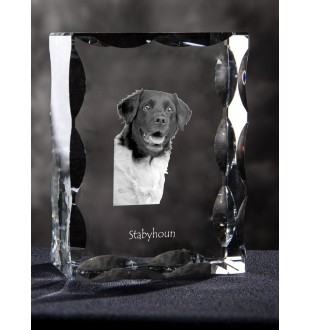 Stabyhoun,  Friesischer Vorstehhund, Stabijhoun - Kristall mit einem Hundebild, Glasstatuette mit einem Bild, einzigartiger Bilderrahmen der Marke Art-Dog