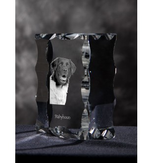 Stabyhoun,  Friesischer Vorstehhund, Stabijhoun - Kristall mit einem Hundebild, Glasstatuette mit einem Bild, einzigartiger Bilderrahmen der Marke Art-Dog