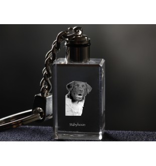 Stabyhoun,  Friesischer Vorstehhund, Stabijhoun - Schlüsselanhänger aus Kristall mit Hundefoto, beleuchteter Schlüsselanhänger, einzigartiges Geschenk der Marke Art-Dog