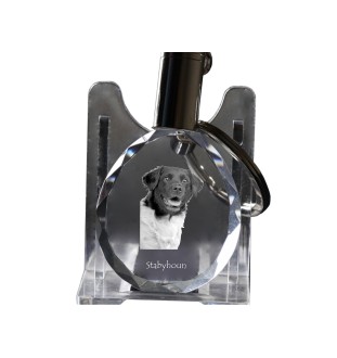 Stabyhoun,  Friesischer Vorstehhund, Stabijhoun - Anhänger mit einem Foto eines Hundes, Schlüsselanhänger aus Kristall in einer Geschenkbox, ein einzigartiges Geschenk von Art-Dog