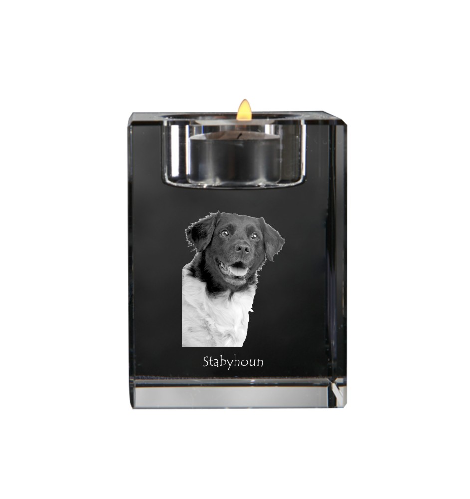 Chien d'arrêt frison, Stabyhoun - Bougeoir avec photo de chien, porte bougie en cristal, cadeau personnalisé par la marque Art-Dog