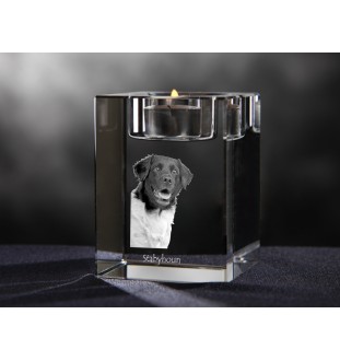 Stabyhoun, Stabijhoun, Fryske Stabij - Candle holder with dog photo, crystal tealight holder, personalised gift by Art-Dog brand