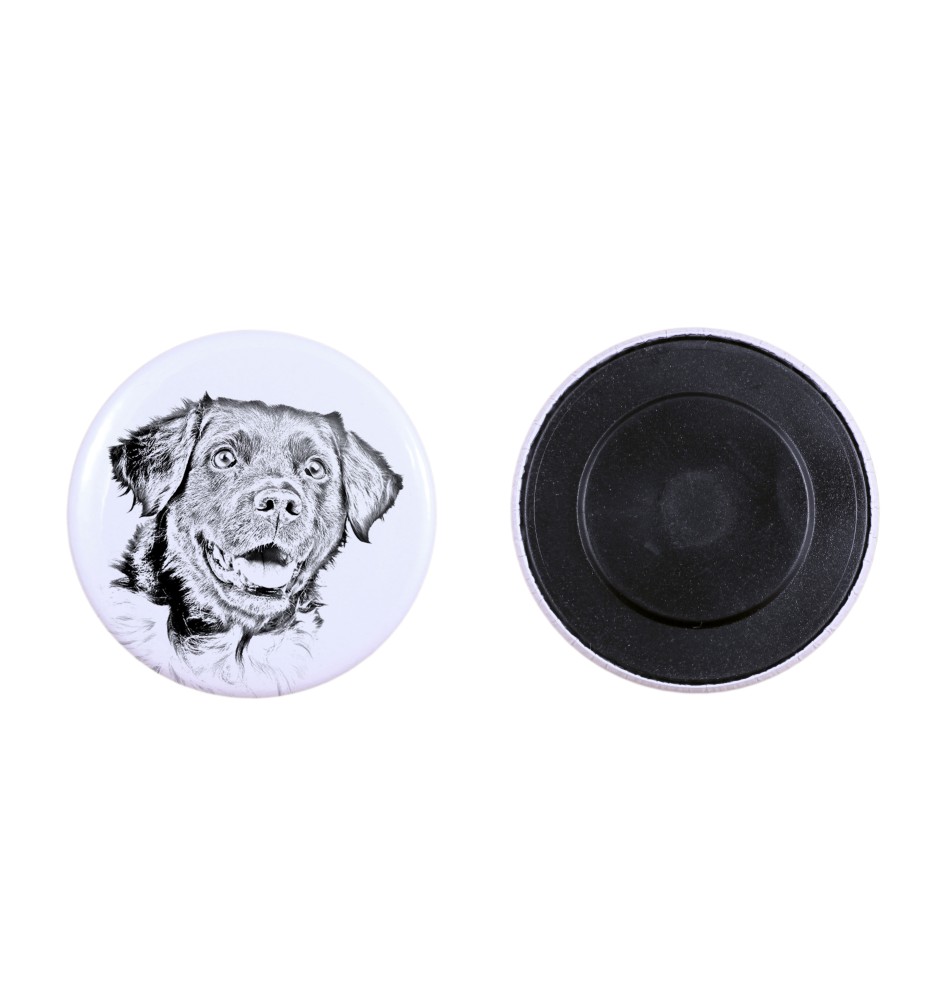 Stabyhoun,  Friesischer Vorstehhund, Stabijhoun Magnet mit einem Hundepfotenabdruck, außergewöhnlich leicht, starker Magnet, handgefertigtes Produkt der Marke Art-Dog