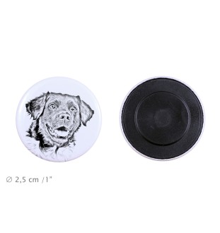 Chien d'arrêt frison, Stabyhoun - aimant avec un œil de chien, exceptionnellement léger, aimant puissant, produit fabriqué à la main par la marque Art-Dog