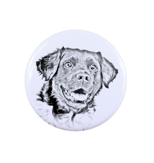 Stabyhoun,  Friesischer Vorstehhund, Stabijhoun - Anstecknadel mit Ihrem Hund, fügen Sie Ihr eigenes Foto hinzu, Marke Art-Dog