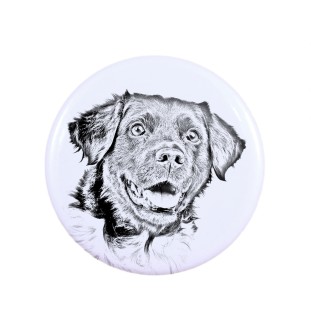Chien d'arrêt frison, Stabyhoun - badge avec votre chien, ajoutez votre propre photo, marque Art-Dog