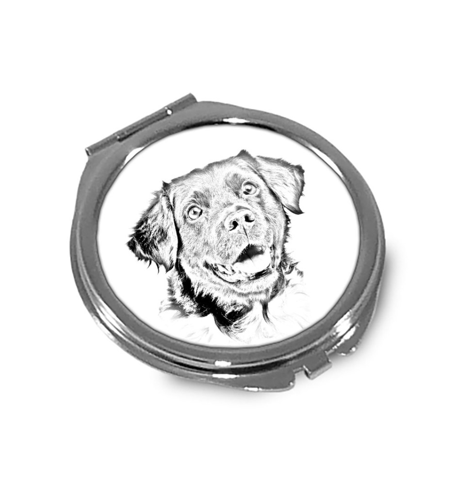 Stabyhoun,  Friesischer Vorstehhund, Stabijhoun - Taschenspiegel mit Hund, personalisierter Taschenspiegel, kompakter Spiegel mit Art-Dog-Logo