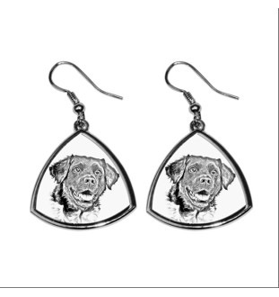 Chien d'arrêt frison, Stabyhoun - boucles d'oreilles avec chien, boucles d'oreilles pendantes avec photo, bijoux personnalisés avec impression de la marque Art-Dog