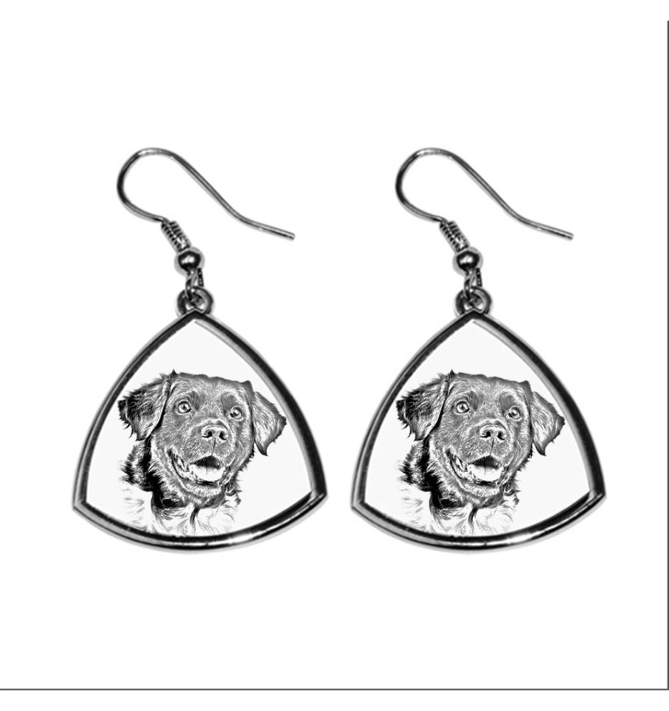 Chien d'arrêt frison, Stabyhoun - boucles d'oreilles avec chien, boucles d'oreilles pendantes avec photo, bijoux personnalisés avec impression de la marque Art-Dog