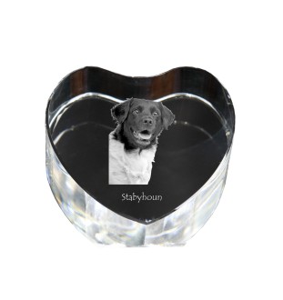 Chien d'arrêt frison, Stabyhoun - une photo de chien dans un cristal, un cœur en cristal, un cadre photo exceptionnel de la marque Art-Dog