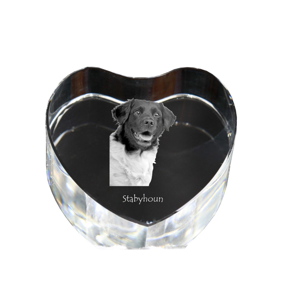 Chien d'arrêt frison, Stabyhoun - une photo de chien dans un cristal, un cœur en cristal, un cadre photo exceptionnel de la marque Art-Dog