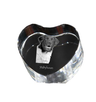 Stabyhoun,  Friesischer Vorstehhund, Stabijhoun - Hundebild im Kristall, Kristallherz, einzigartiger Bilderrahmen der Marke Art-Dog