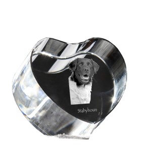 Stabyhoun,  Friesischer Vorstehhund, Stabijhoun - Hundebild im Kristall, Kristallherz, einzigartiger Bilderrahmen der Marke Art-Dog