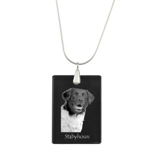 Chien d'arrêt frison, Stabyhoun - Pendentif en cristal avec chien, collier en argent avec photo, pendentif personnalisé par la marque Art-Dog