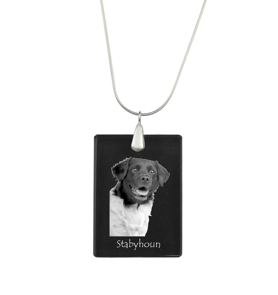 Chien d'arrêt frison, Stabyhoun - Pendentif en cristal avec chien, collier en argent avec photo, pendentif personnalisé par la marque Art-Dog