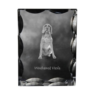 Vizsla - crystal with a picture of a dog, glass statuette with a picture, unique frame with a picture from Art-Dog brand