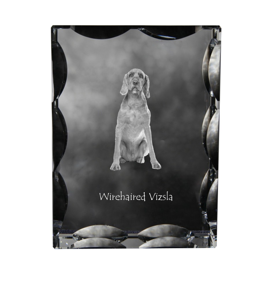 Vizsla - crystal with a picture of a dog, glass statuette with a picture, unique frame with a picture from Art-Dog brand