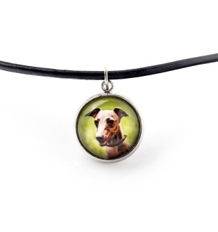 Azawakh - Schmuckset in einer Schachtel, Halskette, Ohrringe, Armband, Produkte der Marke Art-Dog